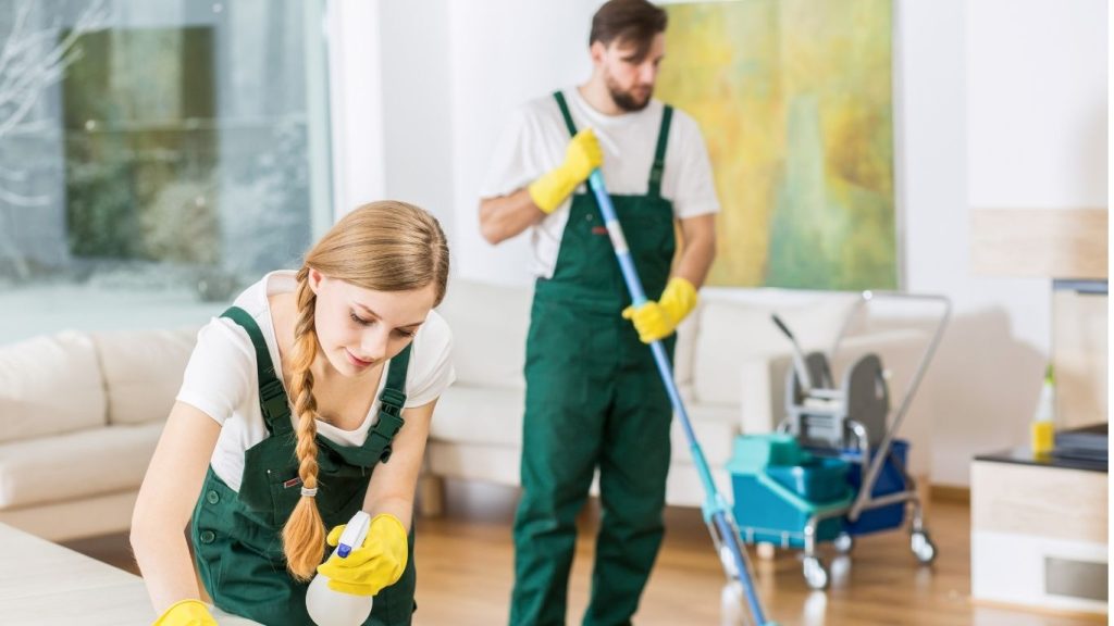 Carpet Cleaner for Dog Pee 