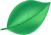 projects leaf